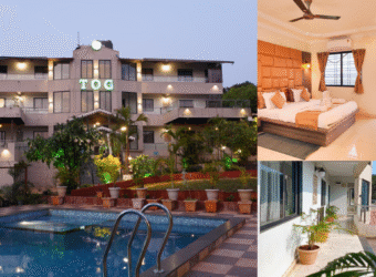 The Olive Green Resort