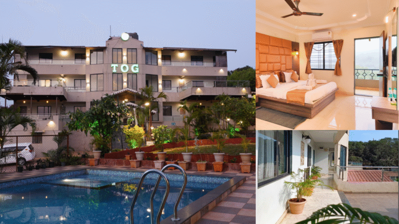 The Olive Green Resort