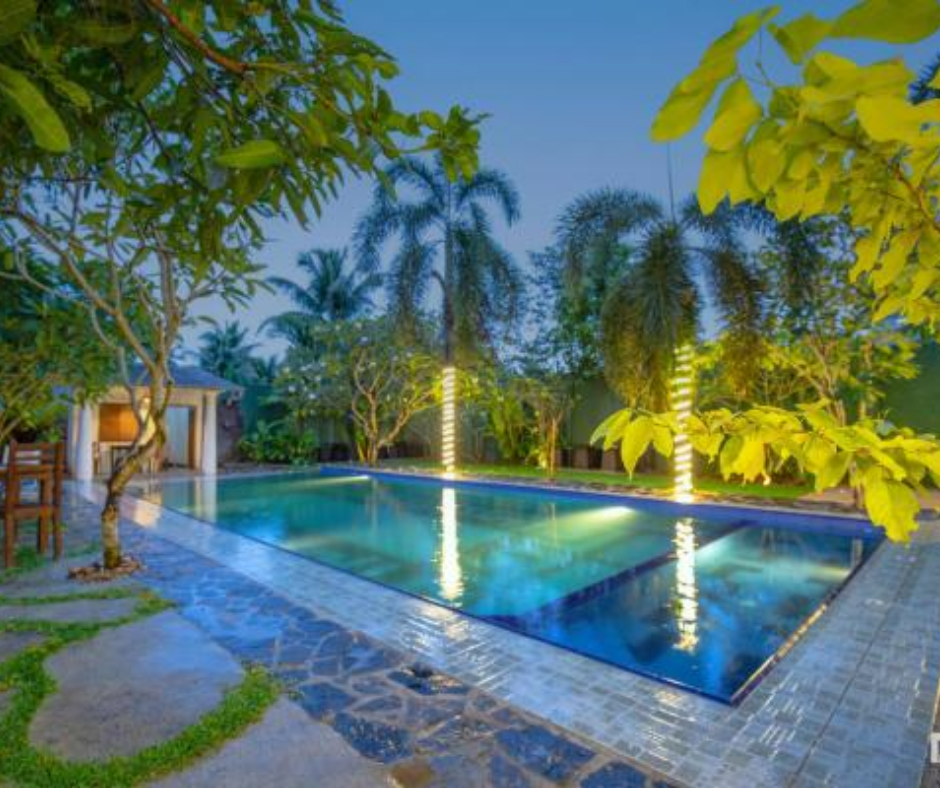 The Olive Green Resort (3)